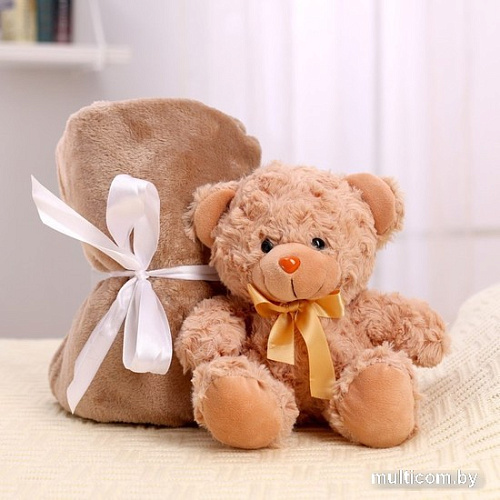 Классическая игрушка Milo Toys Мишутка 7752887