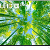 Телевизор LG 55UQ80006LB