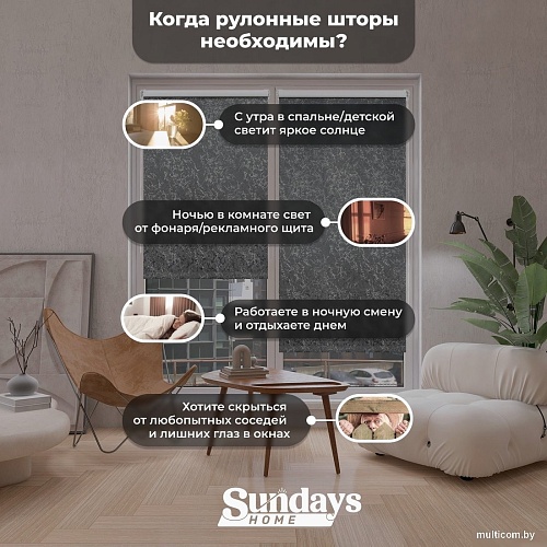 Рулонные шторы Sundays Home LM 97-24 67х160 с 2-мя направляющими LM-15 150см (темно-серый)