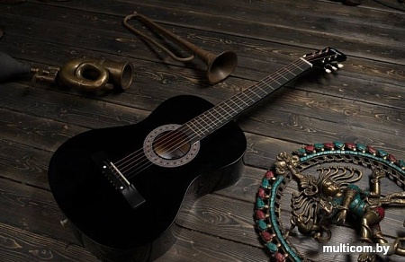 Акустическая гитара Terris TF-3802A BK