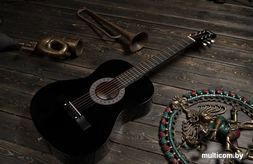 Акустическая гитара Terris TF-3802A BK