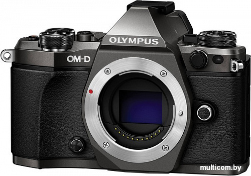 Фотоаппарат Olympus OM-D E-M5 Mark II Body Limited Edition