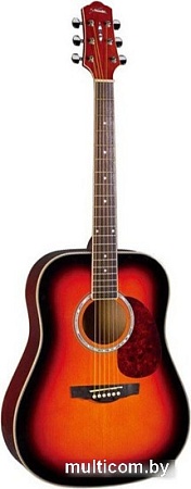 Акустическая гитара Naranda DG220BS
