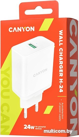 Сетевое зарядное Canyon CNE-CHA24W