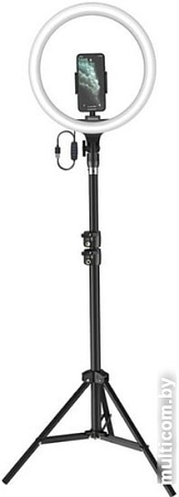 Лампа Baseus CRZB12-B01