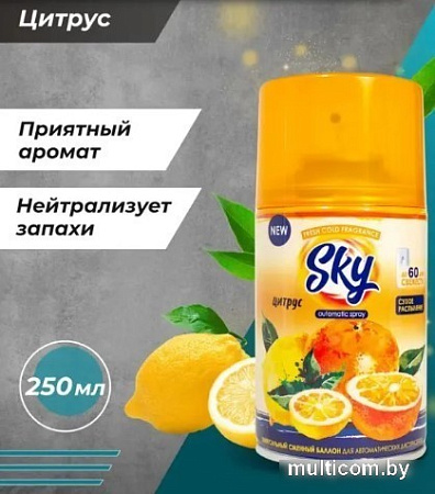 Сменный блок для освежителя воздуха Sky Max Цитрус (250 мл)