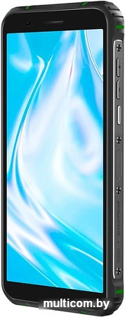 Смартфон Blackview BV5100 (зеленый)
