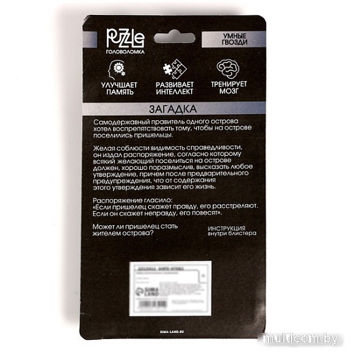 Головоломка Puzzle Игры разума №2 2313411