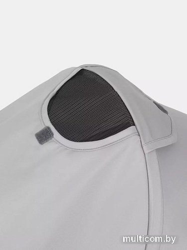 Коляска прогулочная «трость» Rant Basic Tango RA351 (silver grey)