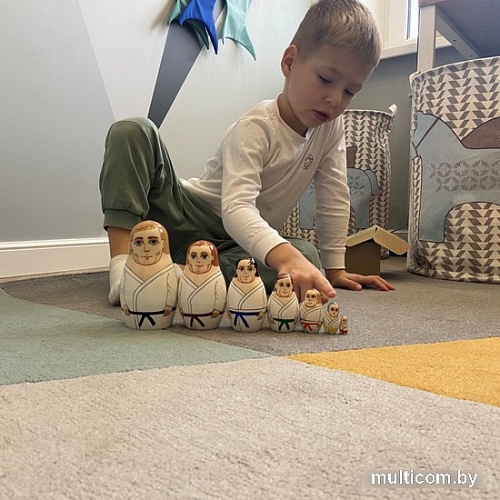 Развивающая игра Брестская Матрешка Боевые искусства (набор 7 шт)