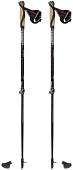 Треккинговые палки Masters Training Speed 01N0519