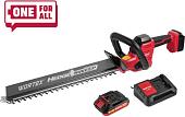Кусторез Wortex DB 5018 ALL1 XLT Set 1334650 (с 1-им АКБ)