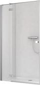 Душевая дверь Radaway Essenza New KDJ 100 см [385040-01-01L]