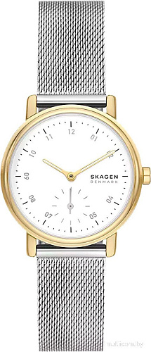 Наручные часы Skagen SKW3101