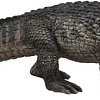 Collecta Американский аллигатор 88609b