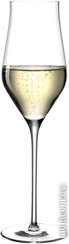 Бокал для шампанского Leonardo Brunelli 066408