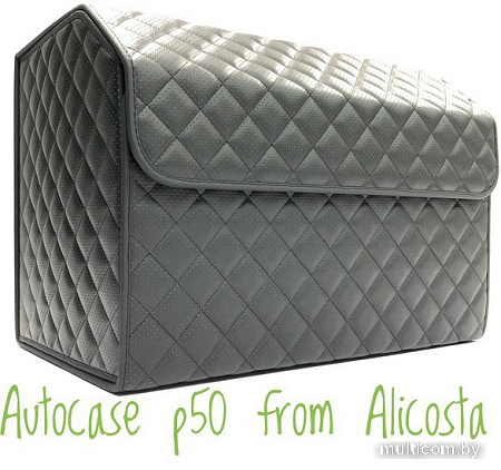 Органайзер автомобильный Alicosta P50 (экокожа с перфорацией, черный)