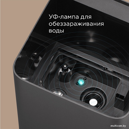 Увлажнитель воздуха Redmond (Редмонд) HF2201S