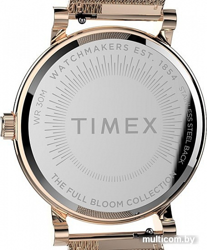 Наручные часы Timex Full Bloom TW2U19500