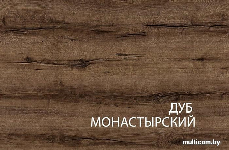Шкаф распашной Anrex Jagger 2DG2S Дуб Монастырский/Черный
