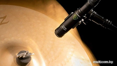 Микрофон Lewitt LCT 040 Match Pair