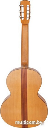 Акустическая гитара Doff RGC