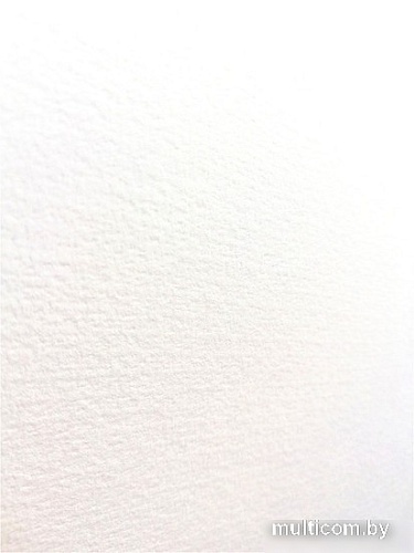 Набор бумаги для рисования Малевичъ 402206 (15л)