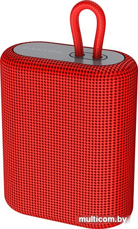 Беспроводная колонка Canyon CNE-CBTSP4R