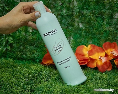 Kapous Очищающее 539 500 мл