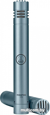 Микрофон AKG P170