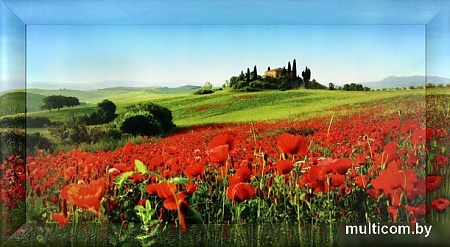 Картина Декарт 8Л3072