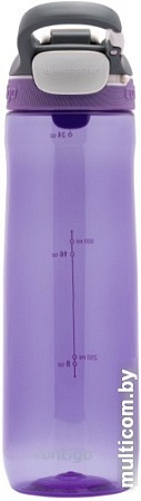 Бутылка для воды Contigo Cortland 2106517 (сиреневый)