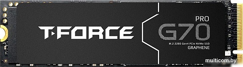 SSD Team T-Force G70 Pro 1TB TM8FFH001T0C129