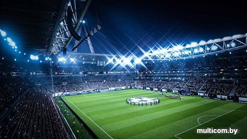 Игра FIFA 19 для Nintendo Switch