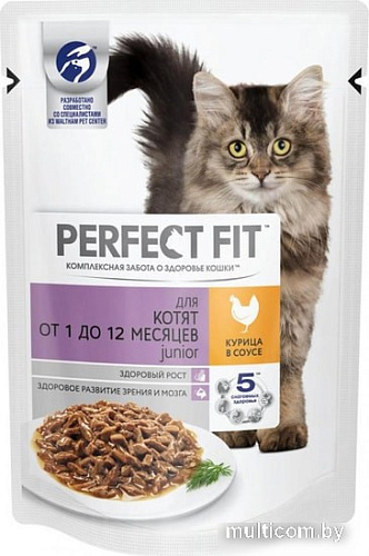 Пресервы Perfect Fit Junior рагу с курицей в соусе 85 г