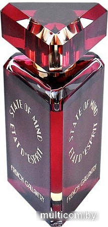 Парфюмерия State of Mind French Gallantry EdP (100 мл)