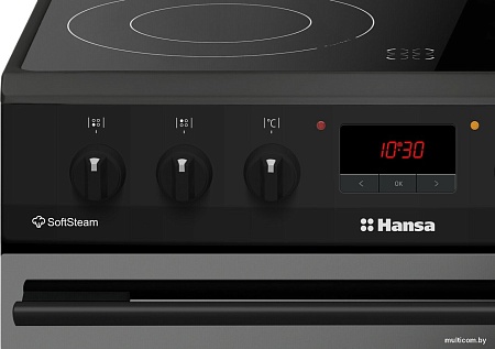 Кухонная плита Hansa FCCM69225H