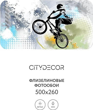 Фотообои Citydecor Детская 389 500x260