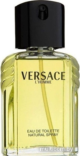 Туалетная вода Versace L'homme EdT (100 мл)