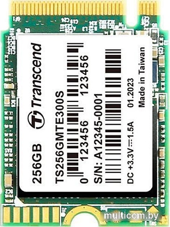 SSD Transcend 300S 256GB TS256GMTE300S