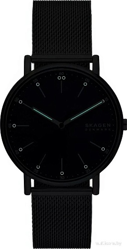 Наручные часы Skagen SKW6904