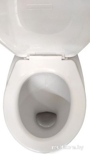 Унитаз напольный Лобненский стройфарфор Оптима Стандарт 10/1/5/3-51