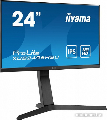 Монитор Iiyama ProLite XUB2496HSU-B1