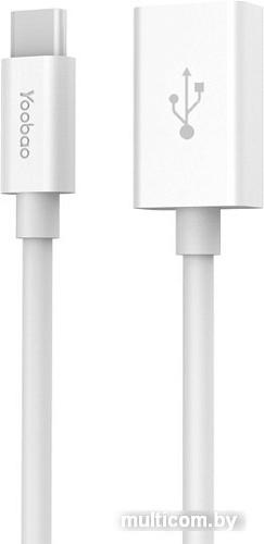 Адаптер Yoobao YB-CAF2