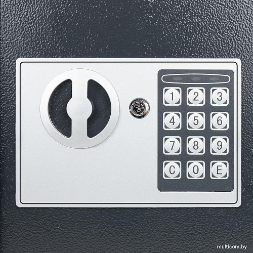 Мебельный сейф Daswerk SC-200EL 291341