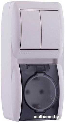 Розетка Lezard Nata 710-0200-173 (белый)