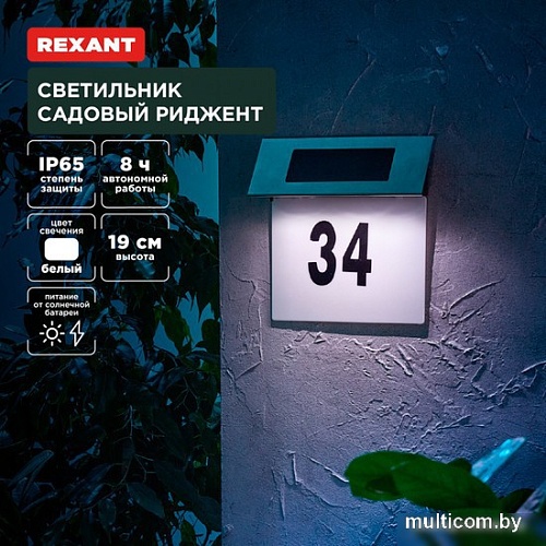 Уличный настенный светильник Rexant Риджент 602-2413