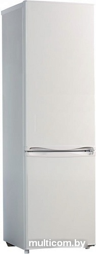 Холодильник Ascoli ADRFW270W