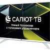 Телевизор Leff 43U691T