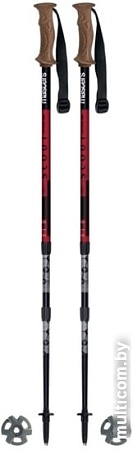 Треккинговые палки Masters Scout Antishock CSS 01S4919